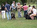img 012